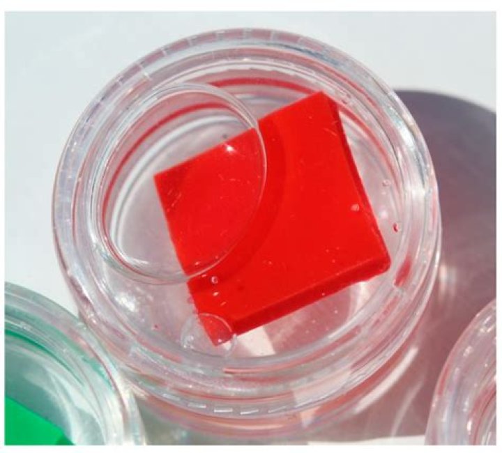 Astead Herndon's Bio And Profound Insights