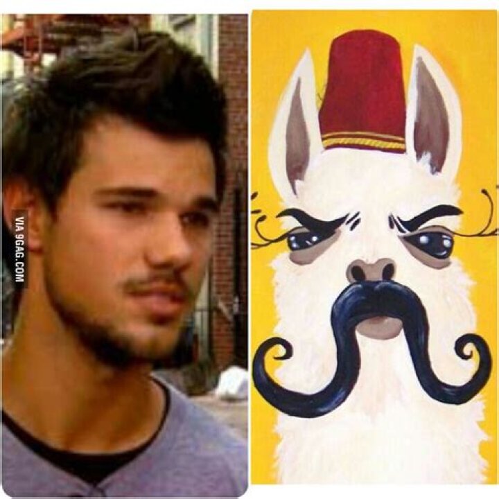 Taylor Lautner Has a Beard